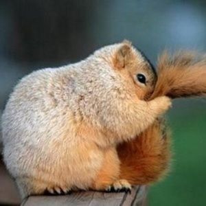 Don’t be shy, make an offer!